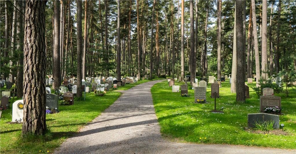 Cemetery in the forest