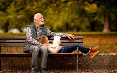 WDEC 2023: Cemeteries for health and wellbeing