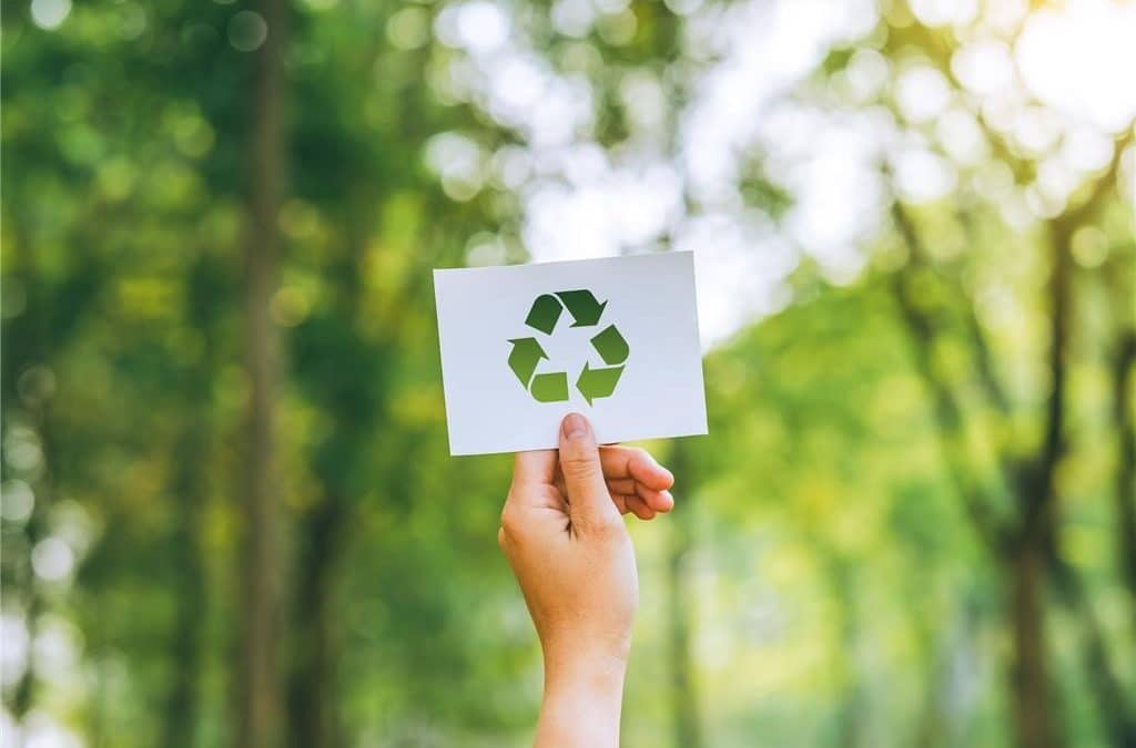 WDEC 2024: Environmental sustainability and climate change