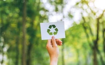 WDEC 2024: Environmental sustainability and climate change