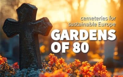 WDEC 2025: Gardens of 80